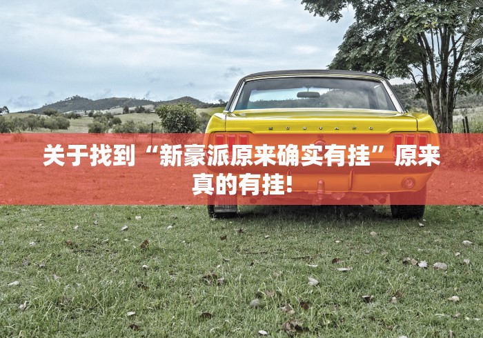 关于找到“新豪派原来确实有挂”原来真的有挂!