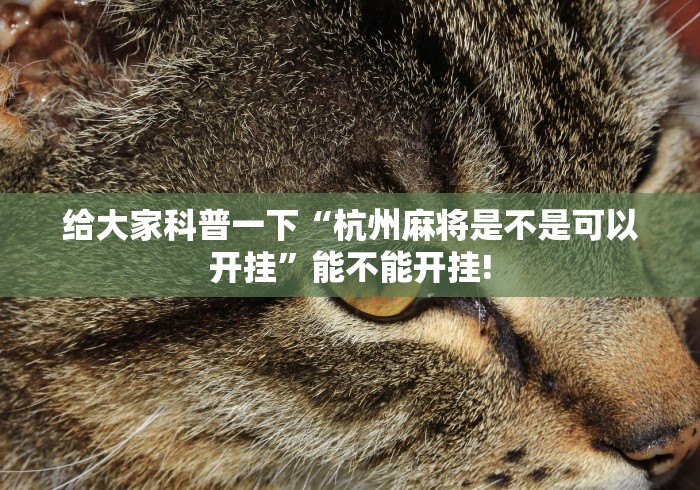 给大家科普一下“杭州麻将是不是可以开挂”能不能开挂!