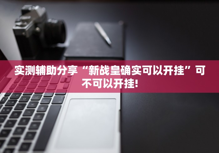 实测辅助分享“新战皇确实可以开挂”可不可以开挂!