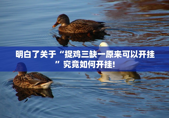 明白了关于“捉鸡三缺一原来可以开挂”究竟如何开挂!