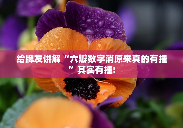 给牌友讲解“六瓣数字消原来真的有挂”其实有挂!