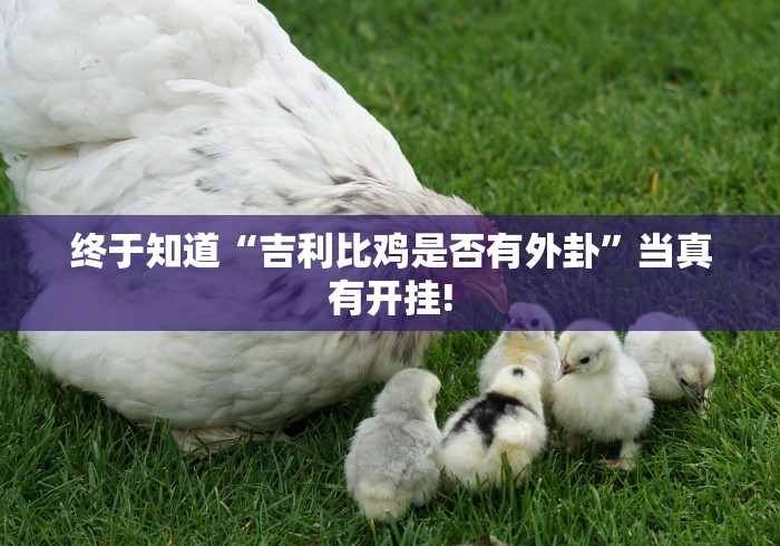 推荐一款“JJ斗地主确实真的有挂”其实有开挂插件!