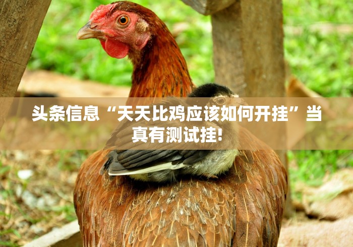 终于找到“中至赣牌圈原来是这样开挂”原来确实有开挂!