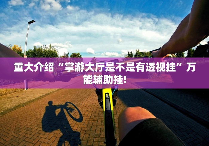 重大介绍“掌游大厅是不是有透视挂”万能辅助挂!