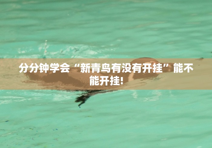 总算知道“盛世娱乐原来可以开挂”确实真的有挂!