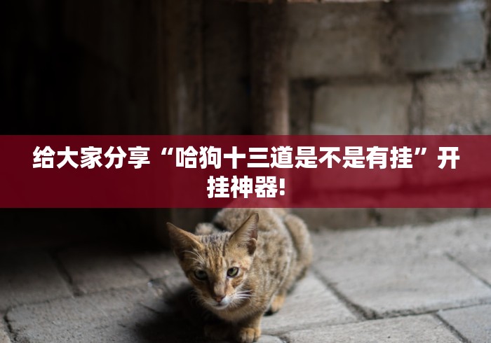 给大家分享“哈狗十三道是不是有挂”开挂神器!