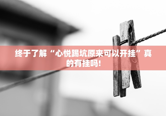 终于了解“心悦踢坑原来可以开挂”真的有挂吗! 终于了解“心悦踢坑原来可以开挂”真的有挂吗!