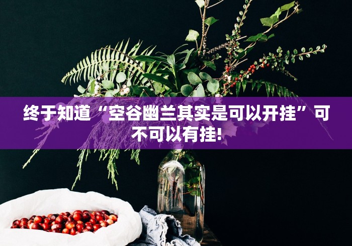 终于知道“空谷幽兰其实是可以开挂”可不可以有挂! 终于知道“空谷幽兰其实是可以开挂”可不可以有挂!