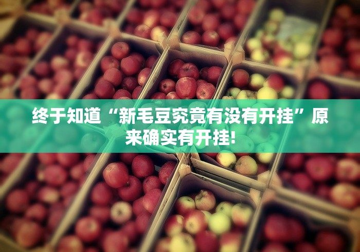 终于了解“开心跑胡子原来可以开挂”到底是不是有挂!