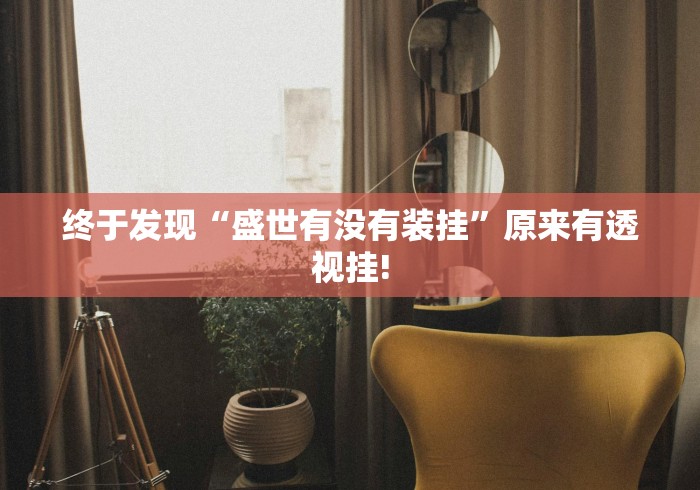 终于发现“盛世有没有装挂”原来有透视挂!