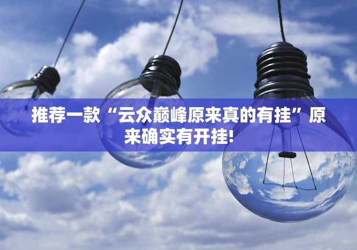 推荐一款“云众巅峰原来真的有挂”原来确实有开挂!