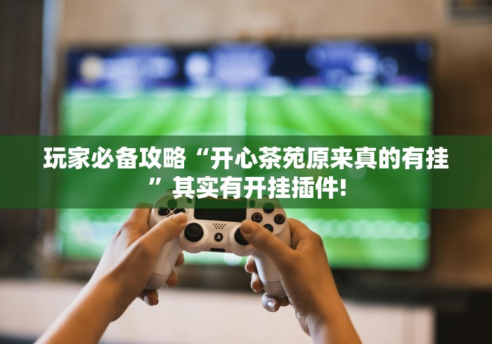 玩家必备攻略“开心茶苑原来真的有挂”其实有开挂插件!