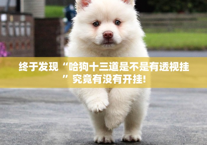 实测分享“心悦踢坑透视!有怎么装挂”原来可以开挂!