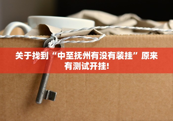 关于找到“中至抚州有没有装挂”原来有测试开挂!