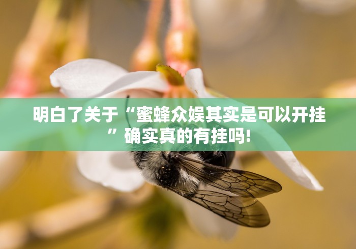 终于知道“玖天乐游真的有挂吗”可不可以开挂!