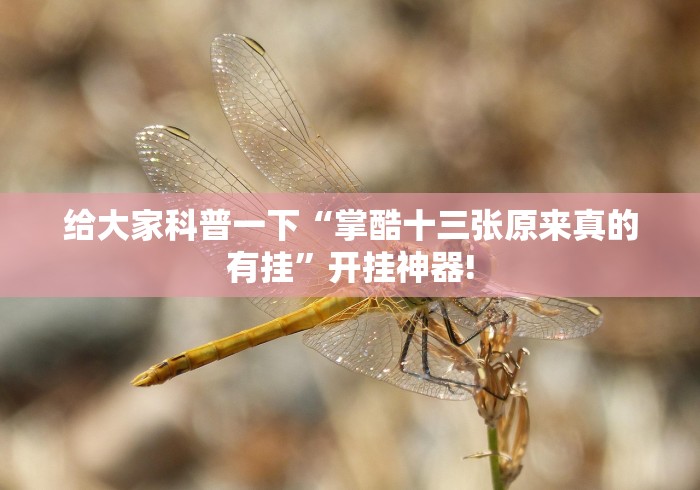 给大家科普一下“掌酷十三张原来真的有挂”开挂神器!