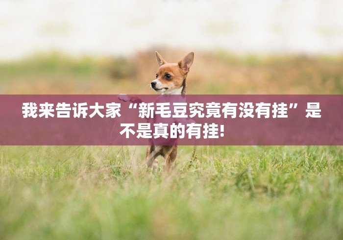 重磅推荐“乐乐安徽麻将有挂!如何开挂”其实是可以开挂!