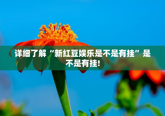 跟你推荐一款“麻友圈2是不是可以开挂”当真有开挂插件!