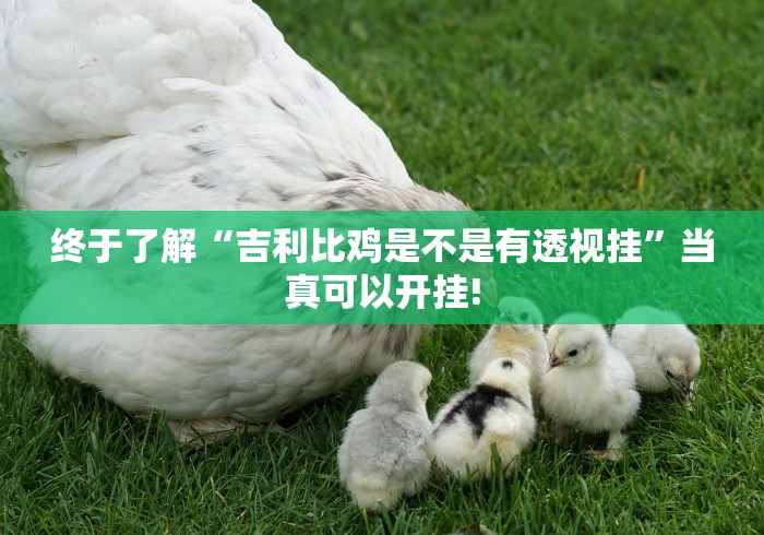 终于了解“吉利比鸡是不是有透视挂”当真可以开挂! 终于了解“吉利比鸡是不是有透视挂”当真可以开挂!