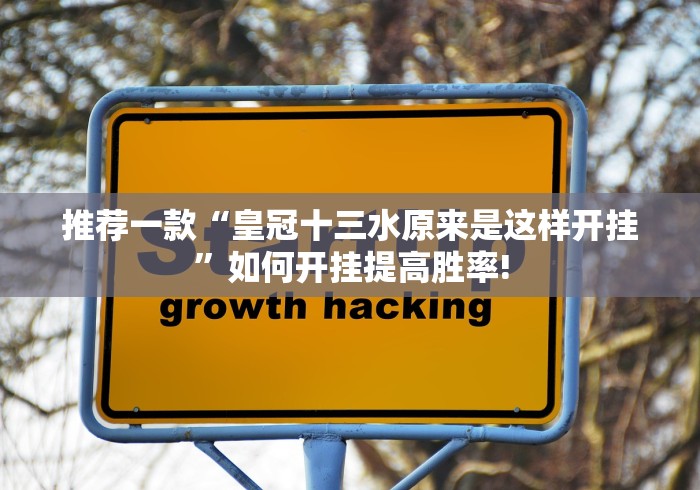 推荐一款“皇冠十三水原来是这样开挂”如何开挂提高胜率!