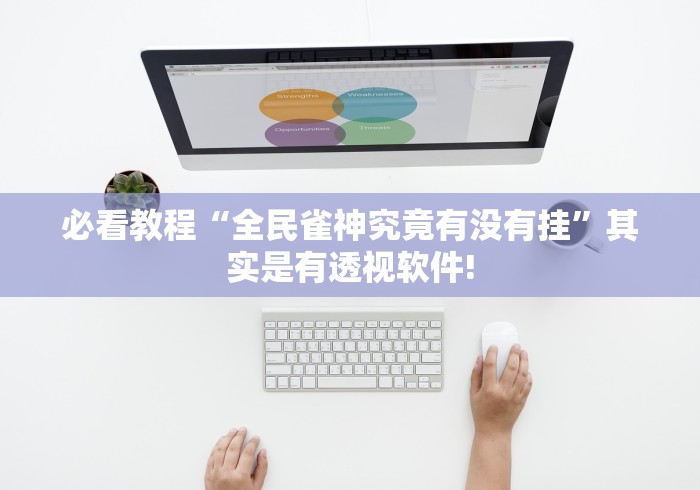 必看教程“全民雀神究竟有没有挂”其实是有透视软件!