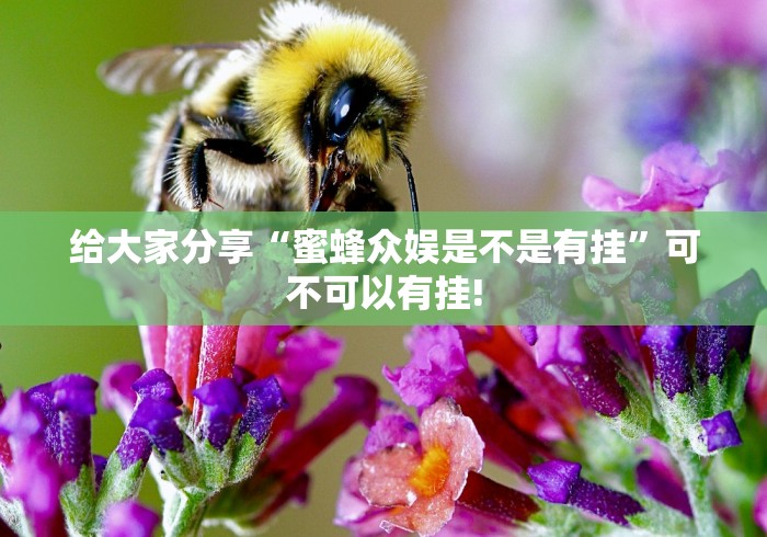 关于找到“经典联盟太坑了原来有挂”是不是有测试开挂!