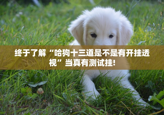 重大讨论“心悦麻将要怎么用开挂才好”原来确实有挂!