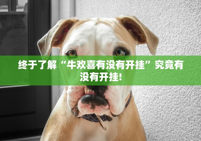 终于了解“牛欢喜有没有开挂”究竟有没有开挂!