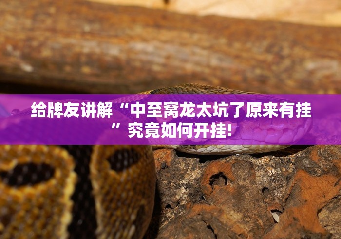 玩家必备攻略“泸州大贰是否有开挂透视”是不是有挂!