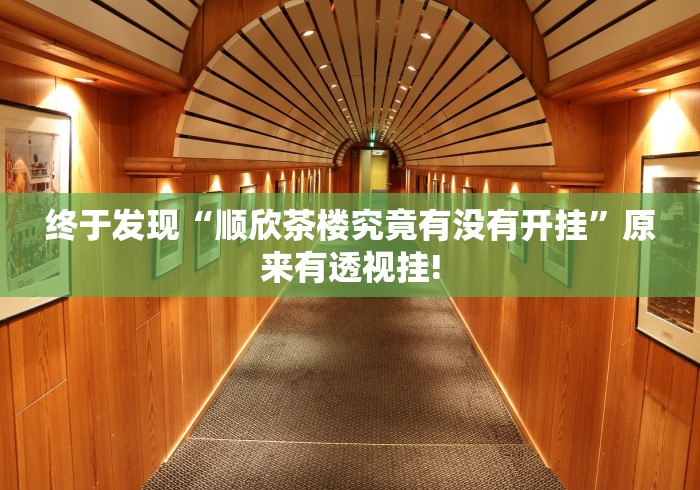 终于发现“顺欣茶楼究竟有没有开挂”原来有透视挂!