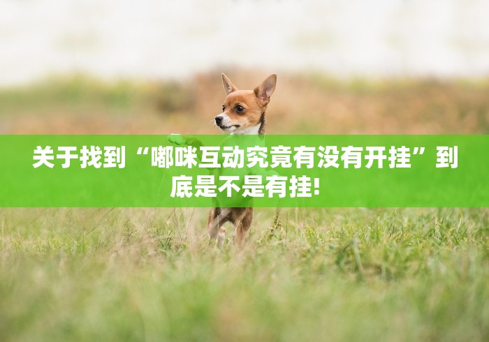 关于找到“嘟咪互动究竟有没有开挂”到底是不是有挂!