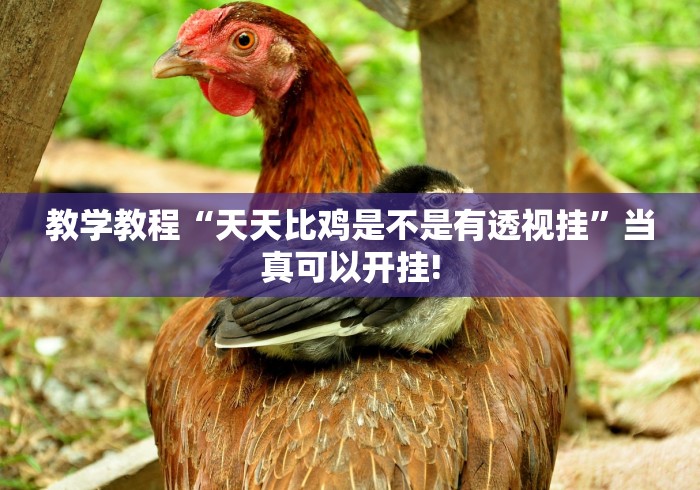 推荐一款“欢聚斗地主开挂!应该可以”原来有开挂!