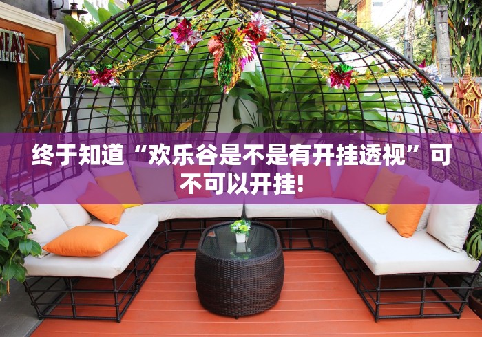 终于知道“欢乐谷是不是有开挂透视”可不可以开挂!