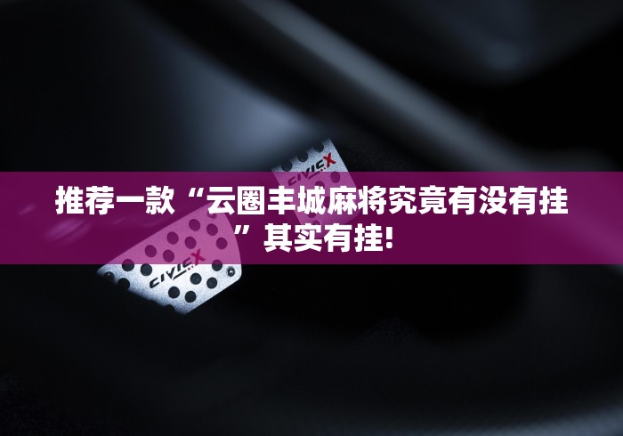 推荐一款“云圈丰城麻将究竟有没有挂”其实有挂!