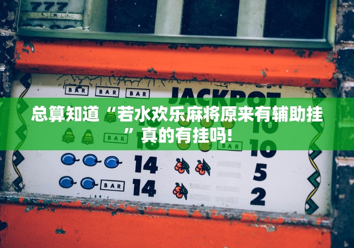 总算知道“若水欢乐麻将原来有辅助挂”真的有挂吗!