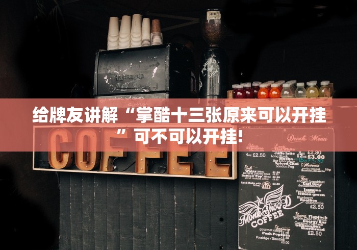 给牌友讲解“掌酷十三张原来可以开挂”可不可以开挂!