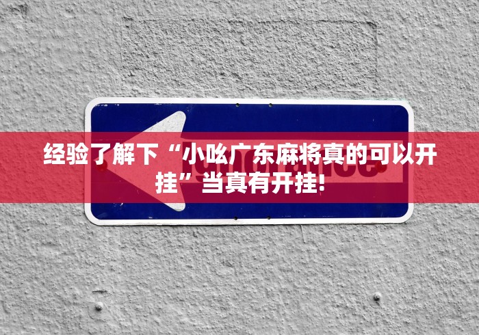 经验了解下“小吆广东麻将真的可以开挂”当真有开挂!