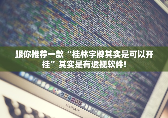 跟你推荐一款“桂林字牌其实是可以开挂”其实是有透视软件!