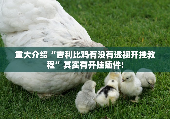 重大介绍“吉利比鸡有没有透视开挂教程”其实有开挂插件!