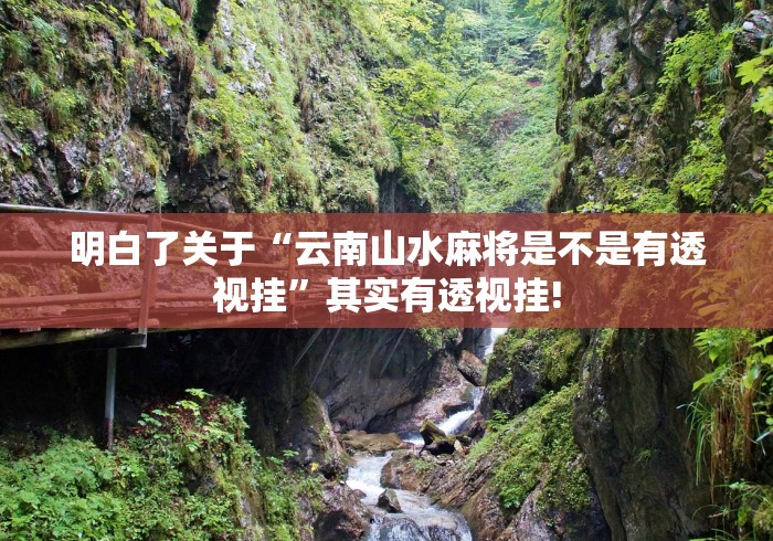明白了关于“云南山水麻将是不是有透视挂”其实有透视挂!
