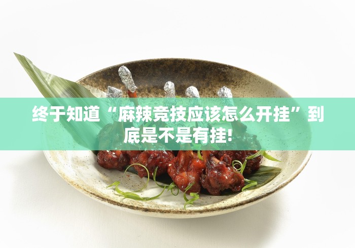 终于知道“麻辣竞技应该怎么开挂”到底是不是有挂!