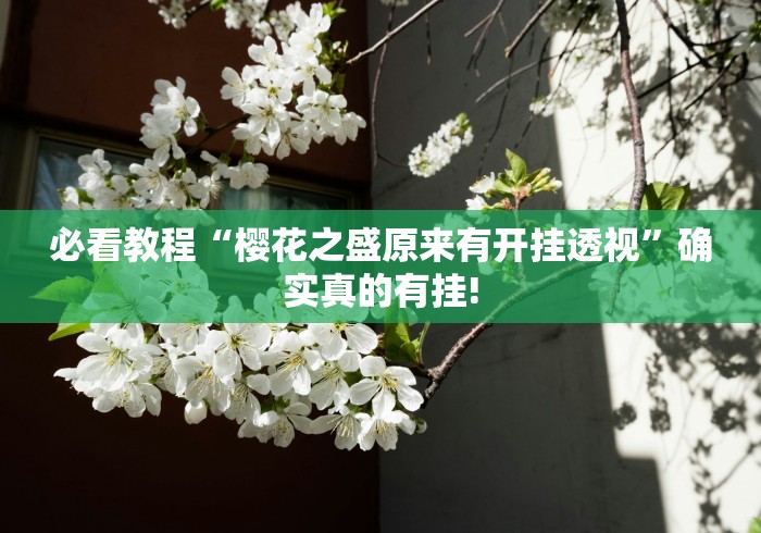 总算知道“天天摸麻将原来可以开挂”其实有透视挂!