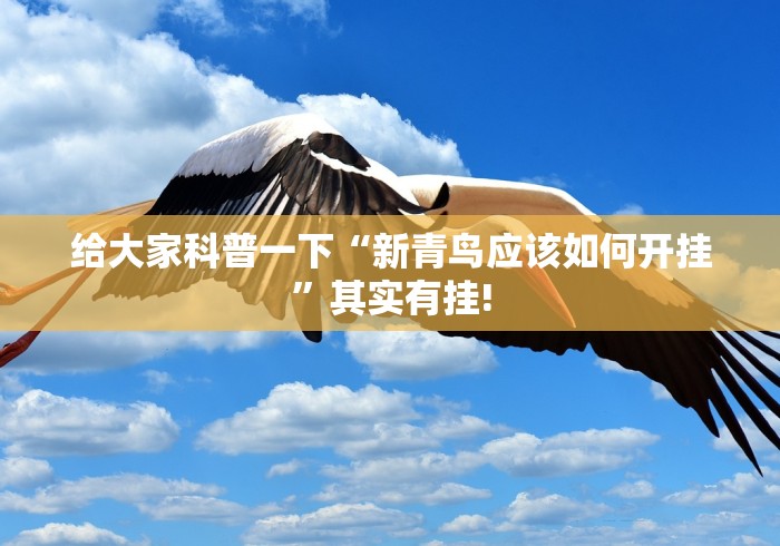 给大家科普一下“新青鸟应该如何开挂”其实有挂!