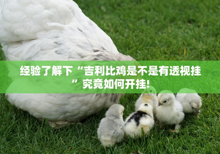 经验了解下“吉利比鸡是不是有透视挂”究竟如何开挂!