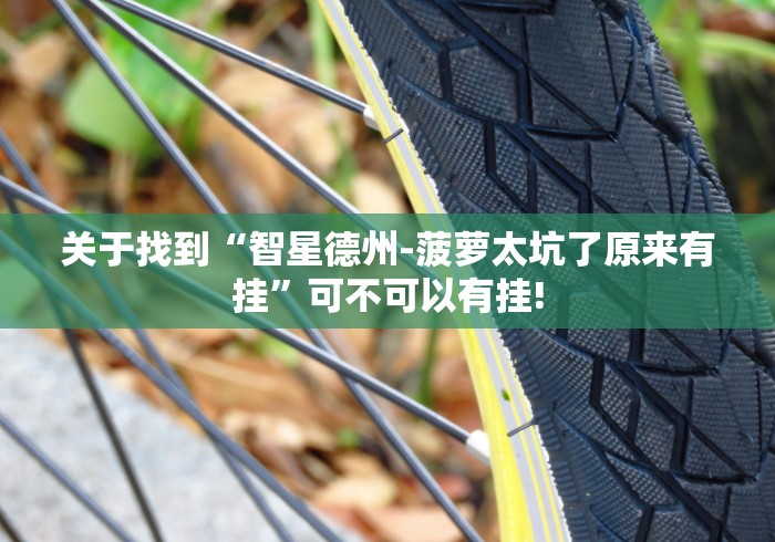 关于找到“智星德州-菠萝太坑了原来有挂”可不可以有挂!