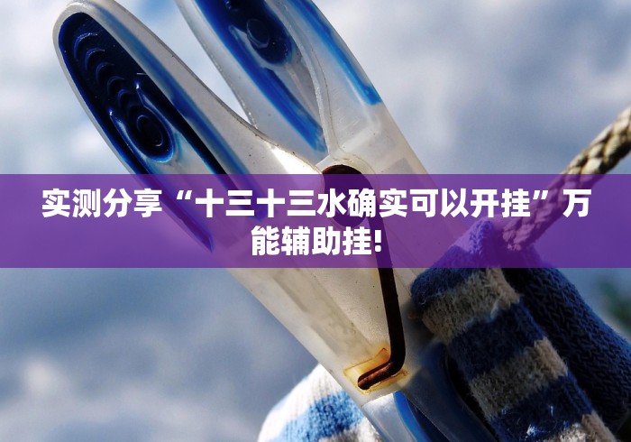 重磅.来袭“友间十三张怎么才能应用开挂合适”太坑了原来有挂!