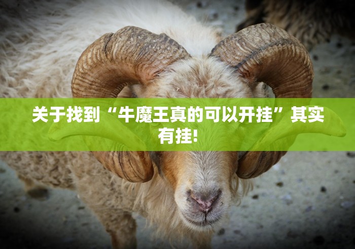 关于找到“牛魔王真的可以开挂”其实有挂!
