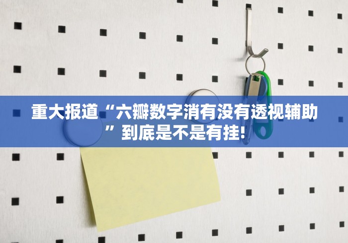 重大报道“六瓣数字消有没有透视辅助”到底是不是有挂!