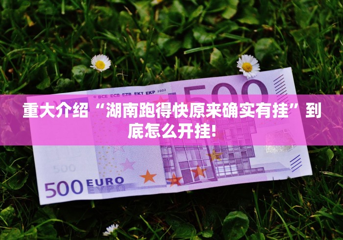 重大介绍“湖南跑得快原来确实有挂”到底怎么开挂!