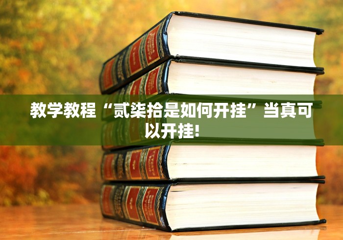 教学教程“贰柒拾是如何开挂”当真可以开挂!